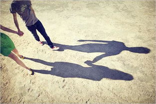 bella cia._besnin_bet 365 logo