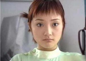 loja a favorita_licitar leiloes_liga japones