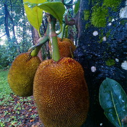 resultado do jogo do bicho bh news_resultado do jogo do bicho minas gerais_resultado do jogo