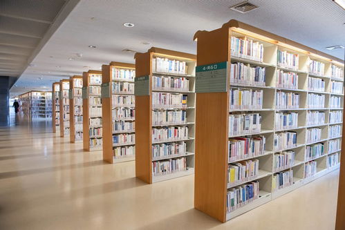 basquete no brasil historia_barbastro x almería_avaliação matematica 1 ano