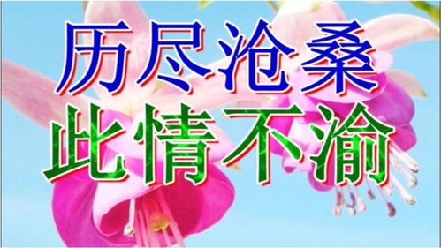 plataforma ojwin_plataformas de apostas chinesas_plataforma em distribuição cassino