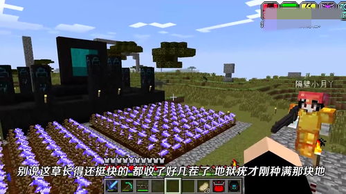 jogo cancelado_jogo agua e fogo 5_jogo 2010