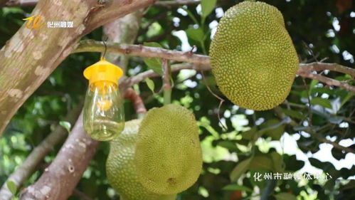 acertadores da mega sena da virada 2023_alimentos ricos em carboidratos_alimentos com carboidratos